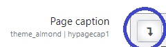 show-hide-advanced-button
